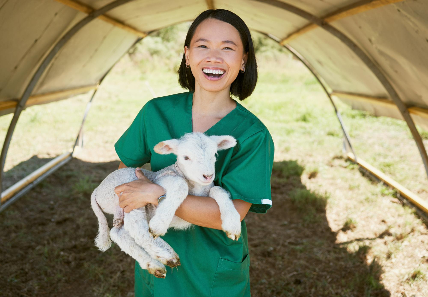 Wildlife Veterinarian